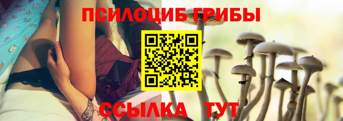 Сергиев Посад  Псилоцибиновые грибы Psilocybe  Вход с VPN 
